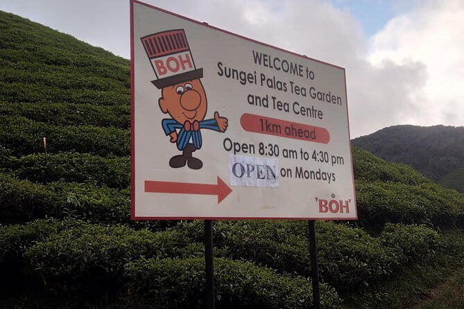 Cameron Highlands Day Trip - What We Loved About This Tour