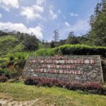 Cameron Highlands Fascinating Day Trip - Final Thoughts