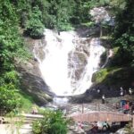 Cameron Highlands Full-Day Tour - An In-Depth Look at the Itinerary