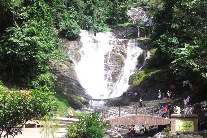 Cameron Highlands Full-Day Tour - An In-Depth Look at the Itinerary