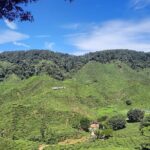 Cameron Highlands Nature & Batu caves Culture Tour - Practical Details and What to Expect