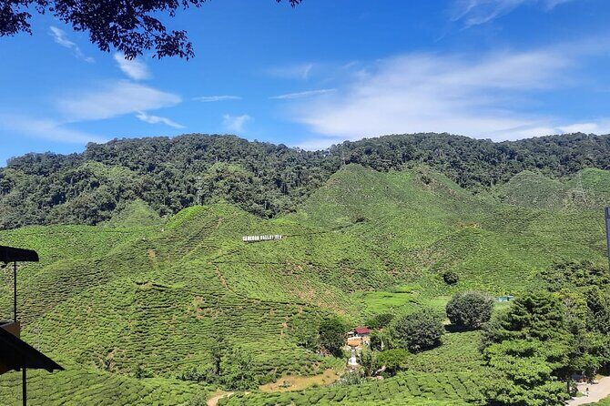 Cameron Highlands Nature & Batu caves Culture Tour - Practical Details and What to Expect