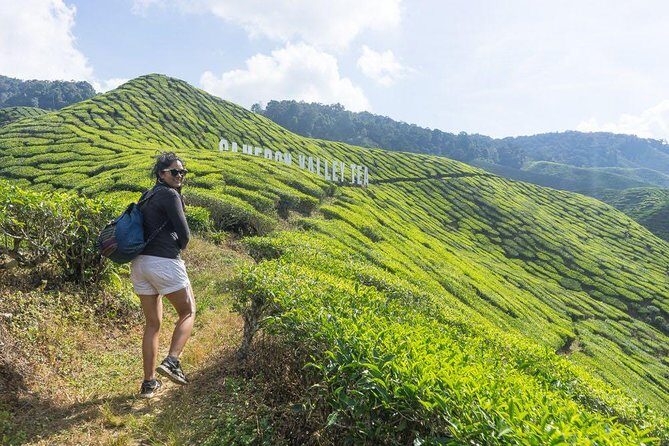 Cameron Highlands Nature Full Day Tour with Hobbitoon Village - Who Will Love This Tour?