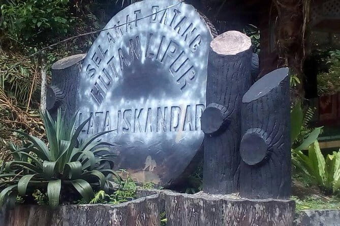 Cameron Highlands Sightseing Tour - Transportation and Overall Value