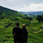 Cameron Highlands Tour from Kuala Lumpur - Practical Details and Tips