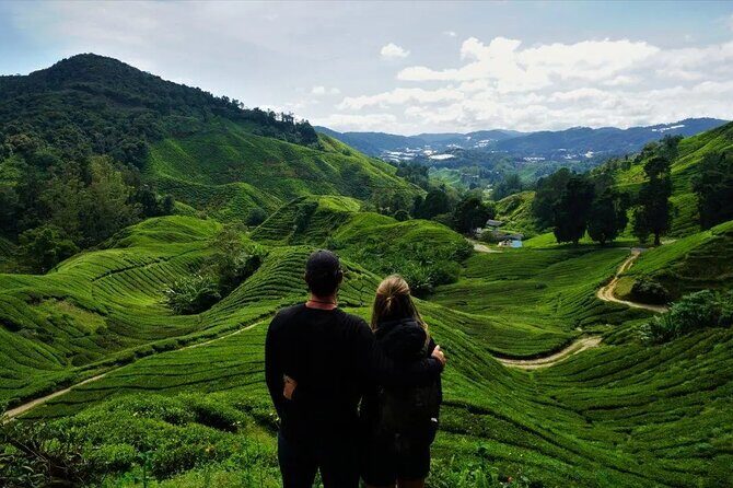 Cameron Highlands Tour from Kuala Lumpur - Practical Details and Tips