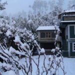 Camping in Binsar, Uttarakhand - The Itinerary Breakdown