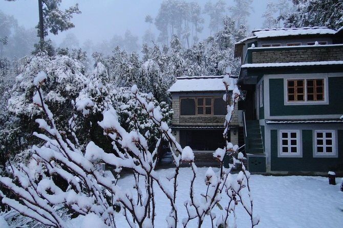 Camping in Binsar, Uttarakhand - The Itinerary Breakdown