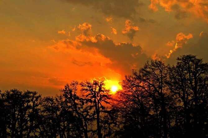 Camping in Chopta - 1 night - FAQ