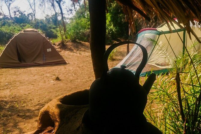 Camping in Habarana - Authentic Experiences and Surprising Insights