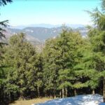 Camping near Shimla - Accommodation Details