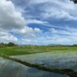 Can-umantad Falls and candijay rice terraces Eco Tour - Why This Tour Works for You