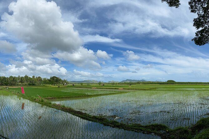 Can-umantad Falls and candijay rice terraces Eco Tour - Why This Tour Works for You