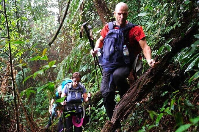 Cao Bang Ba Be Lake Traveling by Van 3D2N - Who Is This Tour Best Suited For?
