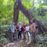 Cat Ba National Park Full-Day Guide Tour Trekking, Biking,Kayaking - What Makes This Tour Stand Out?