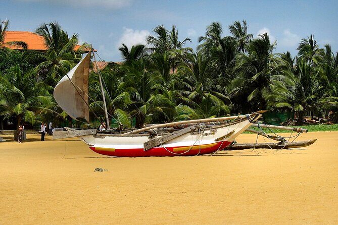 Catamaran Sunset Sailing in Trincomalee - Practical Tips for Your Sunset Sailing