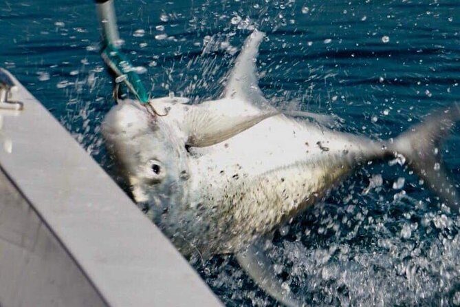 Catch the fish of a lifetime in adventurous waters  Negombo - Who should consider this tour?