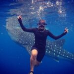 Cebu Oslob Whaleshark and Sumilon Island Full-Day Private Tour - The Sum Up