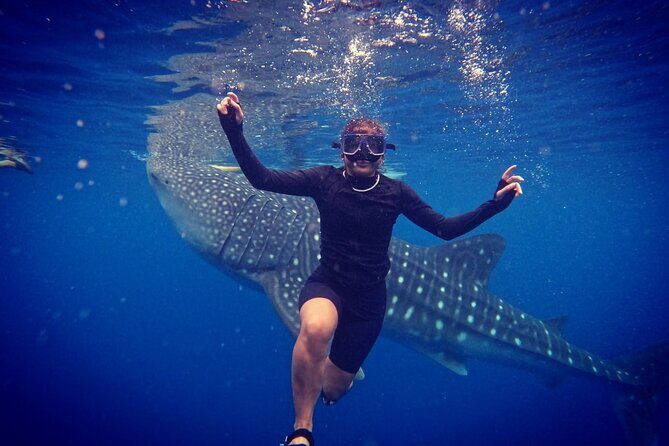 Cebu Oslob Whaleshark and Sumilon Island Full-Day Private Tour - The Sum Up