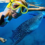 Cebu Ultimate Oslob Whale Shark and Moalboal Turtles Joiner Tour - Lunch with a View: Recharging by the Sea