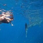 Cebu Whalesharks, Sumilon Island & Tumalog falls - Swimming with Whale Sharks