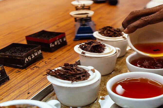 Ceylon Tea Tasting from Galle - FAQs