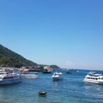 Cham Island Discover & Snorkeling from Hoi An with group tour - The Sum Up: Who Will Love or Leave This Tour?