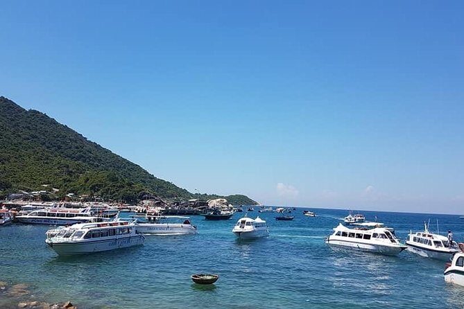 Cham Island Discover & Snorkeling from Hoi An with group tour - The Sum Up: Who Will Love or Leave This Tour?