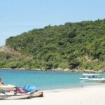 Cham Island Full Day Tour depart from Da Nang visit Au Thuyen and Ong Temple - Final Thoughts