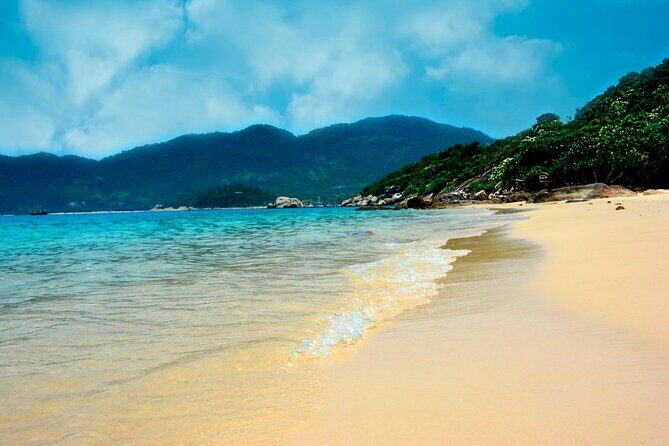 Cham Island Snorkeling Tour- Group Tour - The Full Experience: What You Can Expect