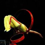 Chaoyang Theater Acrobatic Show with round-trip transfer - Authentic Insights from Reviews