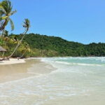 Charm Southern Island 1Day Tour Phu Quoc - How Does It Compare in Value?