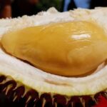 Chauffeur: Kuala Lumpur to Kuala Besut Transfer [Car] - The Sum Up