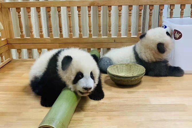 Chengdu Panda Base, Panda Post, Panda Sculpture - The Panda Post: Sending a Token of Chengdu