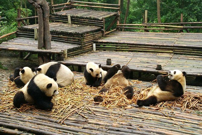 Chengdu Panda Tour and Shu Culture Discovery - Discovering Sanxingdui’s Mysteries