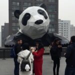 Chengdu Private Tour of Panda Wonderland - Why This Tour Delivers Value