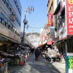 Cherry blossom tour in Busan and Jinhae from Busan - Practicalities and Traveler Tips