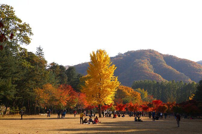[Cherry blossom]Gyeongju Tour from SEOUL transfer to BUSAN - Practical Considerations