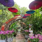 Chiang Mai-Chiang Rai: White temple-Blue Temple-Lalita Cafe-Lunch - What’s Included and What’s Not