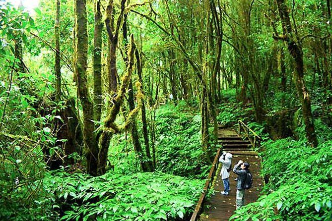 CHIANG MAI: Doi Inthanon NationPark-Royal Project-Waterfall-Lunch - Authentic Insights from Travelers