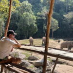 Chiang Mai Elephant Watch and Wang River Rafting - Who Is This Tour Best For?