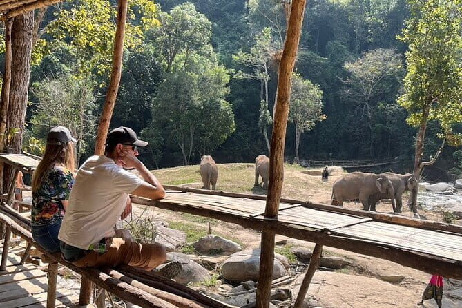Chiang Mai Elephant Watch and Wang River Rafting - Who Is This Tour Best For?