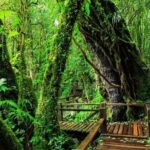 CHIANG MAI: Join Tour One Day Doi Inthanon-Waterfall with Lunch - A Detailed Look at the Tour Experience