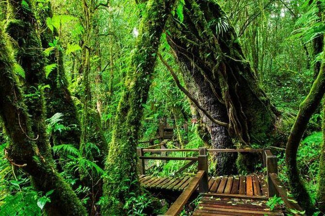 CHIANG MAI: Join Tour One Day Doi Inthanon-Waterfall with Lunch - A Detailed Look at the Tour Experience