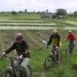 Chiang Mai Rice Fields Biking Tour - The Sum Up