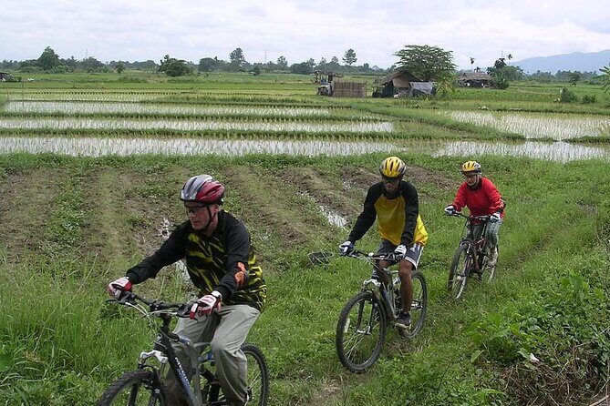 Chiang Mai Rice Fields Biking Tour - The Sum Up
