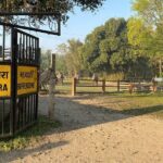 Chitwan Safari for 2 Nights 3 Days - Transportation and Comfort