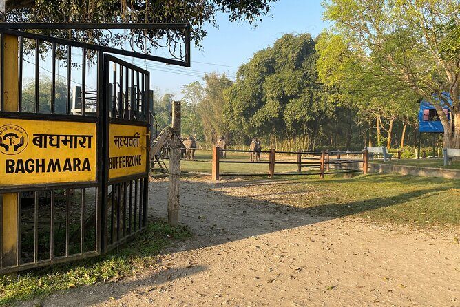 Chitwan Safari for 2 Nights 3 Days - Transportation and Comfort