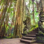 Choose Your Four Hand Massage in Bali Island - The Value Proposition: Is It Worth It?