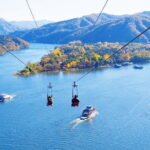 Chuncheon Special-Nami Island, Alpaca World And Rail Bike - Alpaca World: Cuteness Overload